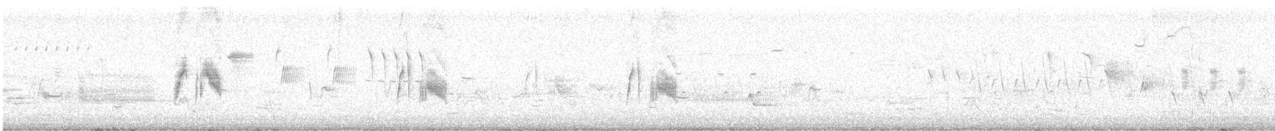 tyranovec vrbový - ML240310761