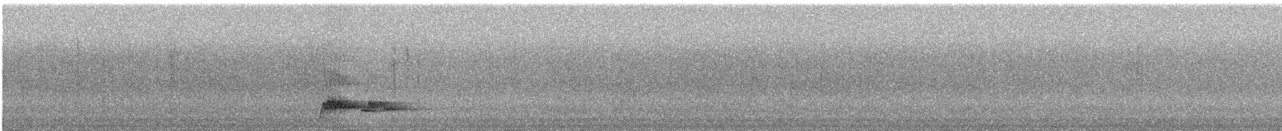 Brown Tinamou (Brown) - ML240334