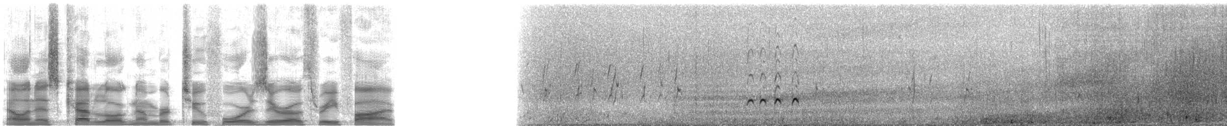 Whimbrel (Hudsonian) - ML24035