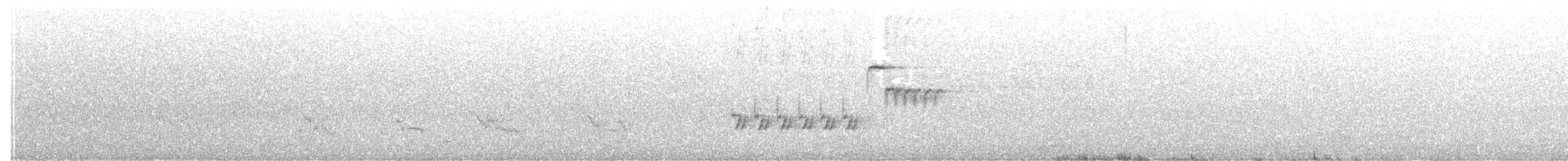 Тауї плямистий/східний - ML240358701