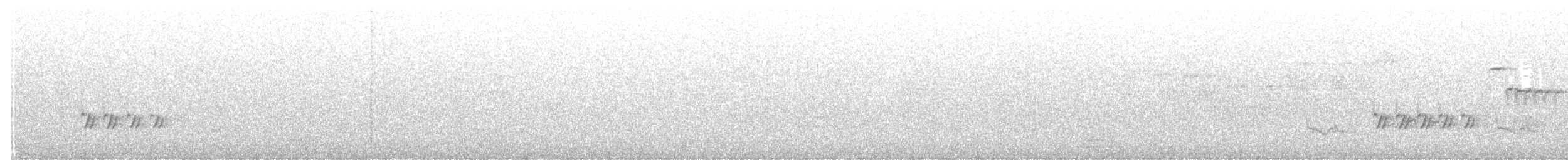 Тауї плямистий/східний - ML240358741