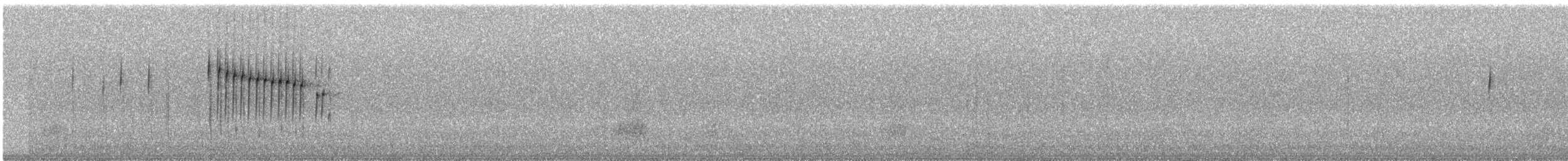 Жемчужногорлая колючехвостка - ML240365