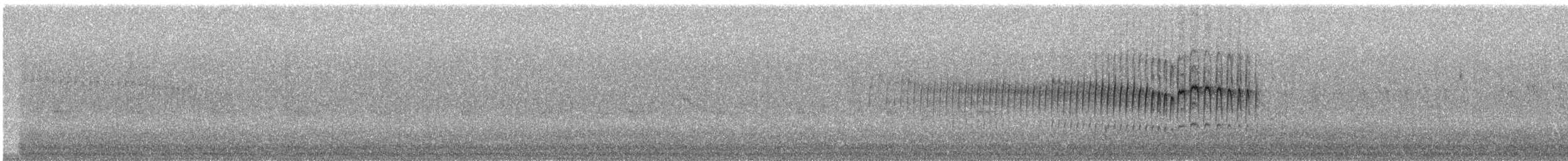 Tawny Tit-Spinetail - ML240370