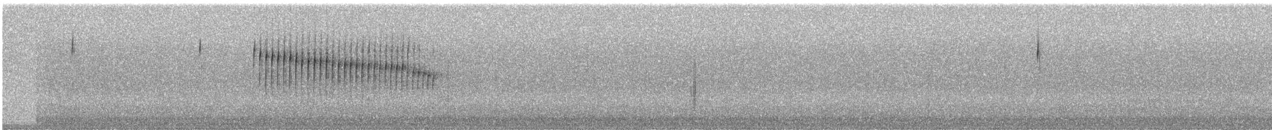 Жемчужногорлая колючехвостка - ML240372