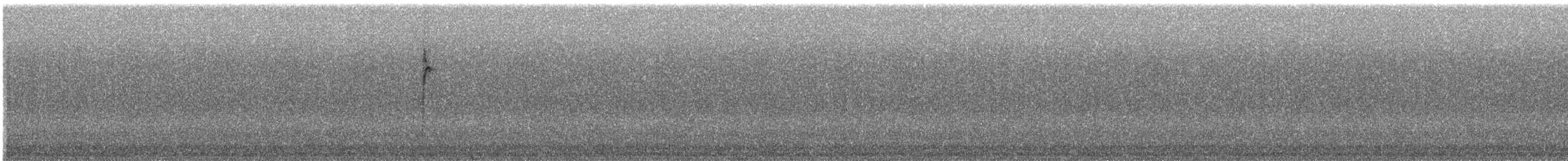 Stricheltangare (parina) - ML240378