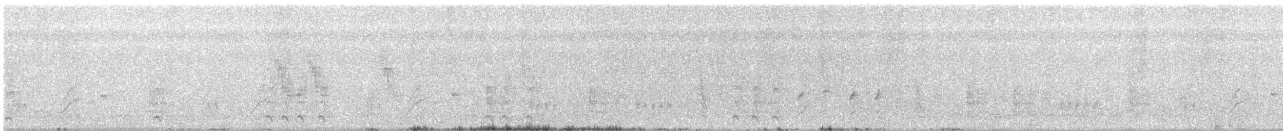Тростниковая камышевка - ML240380101
