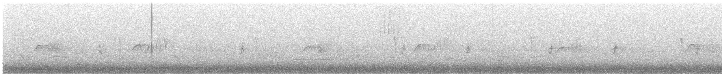 Светлобрюхий фиби - ML240382081