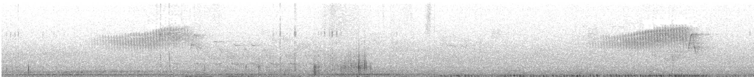 Northern Parula - ML240385151