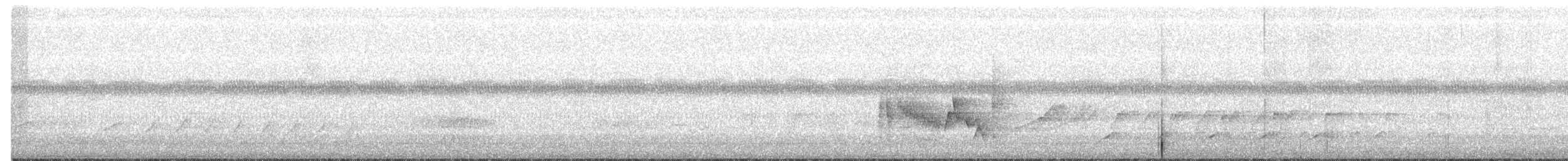 White-eyed Vireo - ML240389851