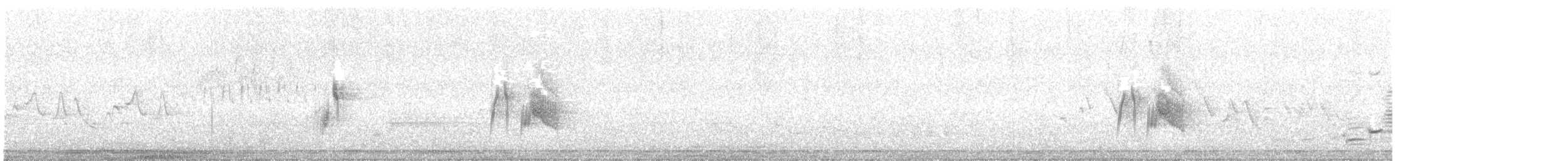 tyranovec vrbový (ssp. traillii) - ML240393011