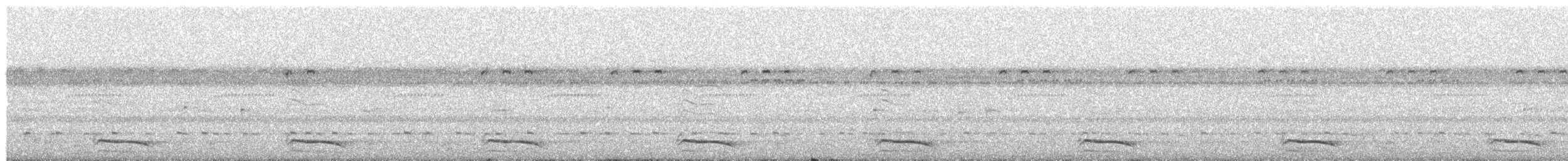 Laughing Falcon - ML240395541