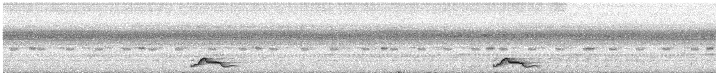 Common Pauraque - ML240397421