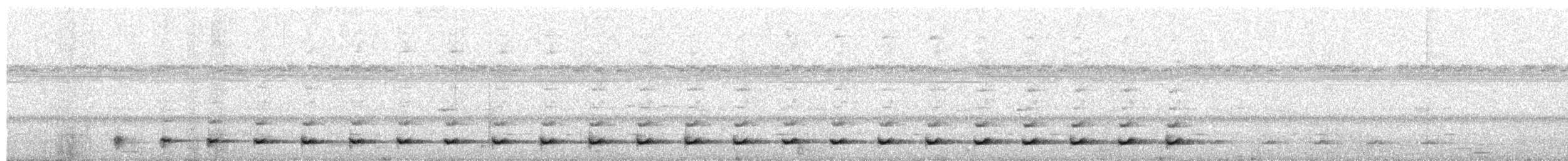 Ferruginous Pygmy-Owl - ML240403571