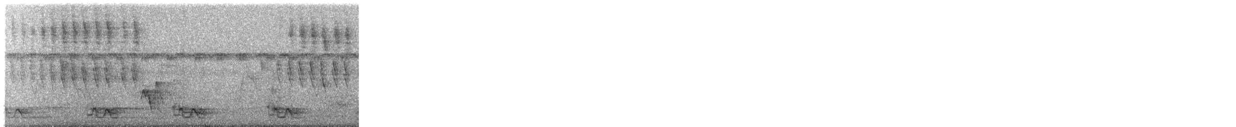 Red-browed Amazon - ML240405391