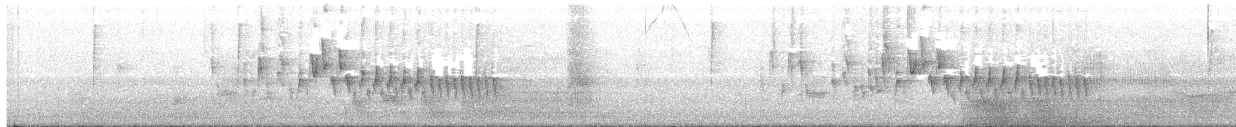Northern House Wren - ML240407381
