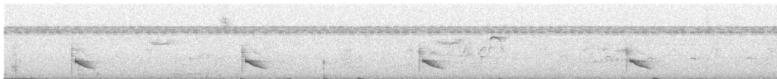 Large Elaenia - ML240409381