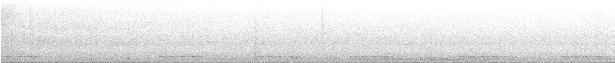 Black-billed Cuckoo - ML240409491