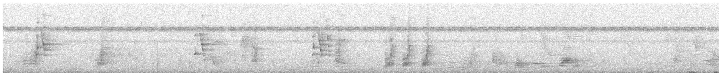 Black-necked Aracari - ML240410391