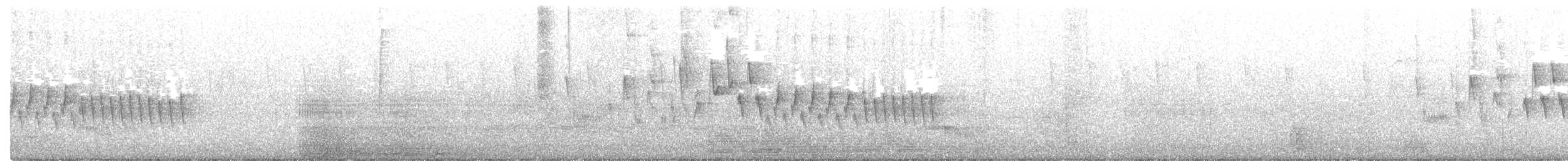 Troglodyte familier - ML240411301