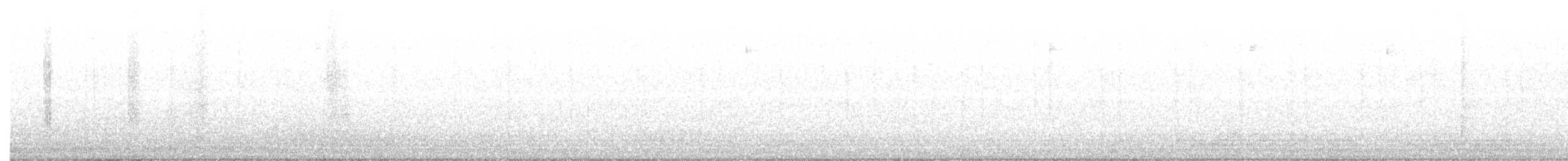 kalypta rubínohrdlá - ML240412961