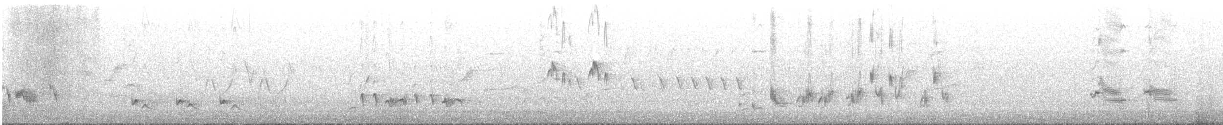 Тремблер прямодзьобий - ML240413011