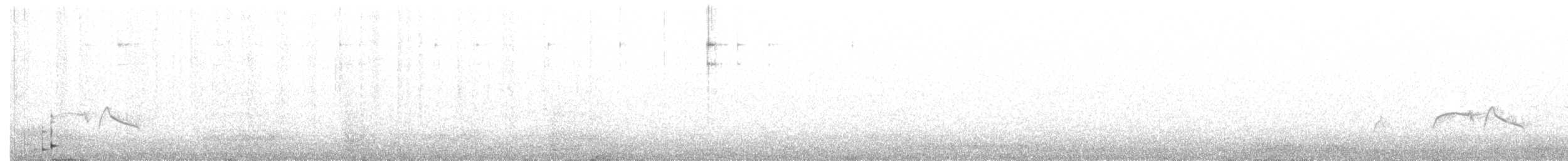 Olivflanken-Schnäppertyrann - ML240414861