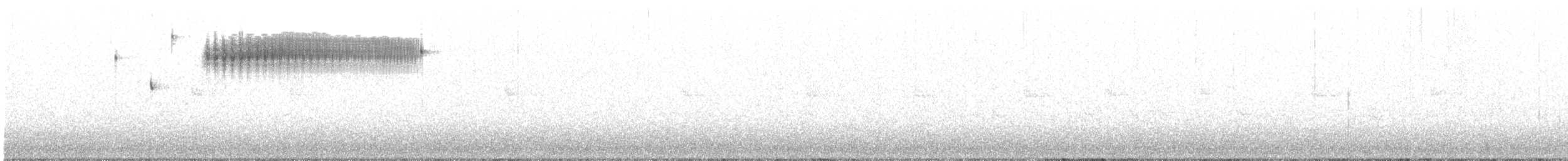 Кузнечиковая овсянка-барсучок - ML240415011