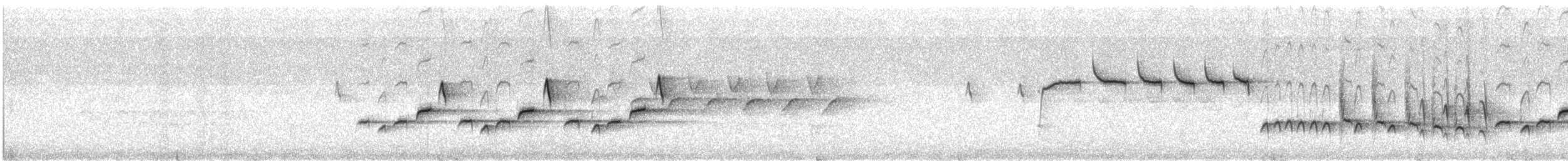 Roitelet à couronne rubis - ML240419541