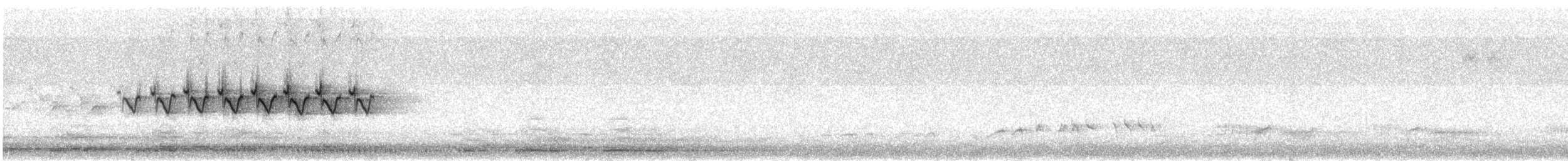 Paruline à croupion jaune - ML240419621