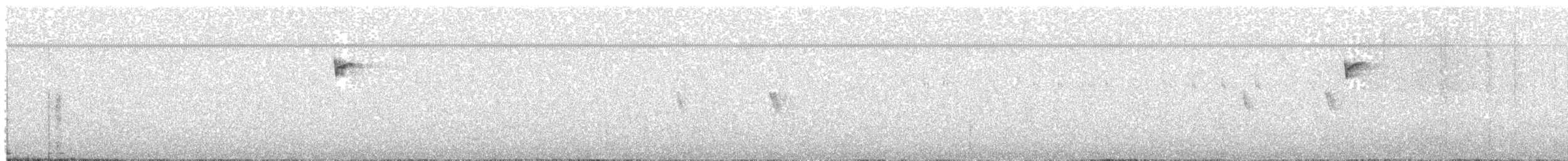 kolibřík tolimský - ML24042561