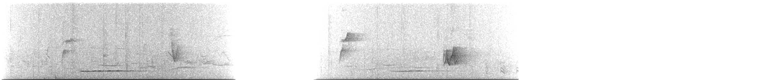 Thicket Tinamou - ML240432561