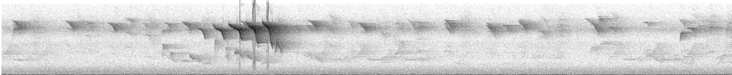 American Redstart - ML240440231