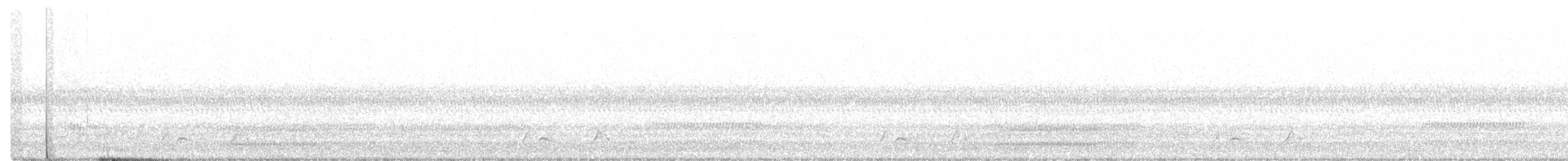 Carolinanachtschwalbe - ML240444081