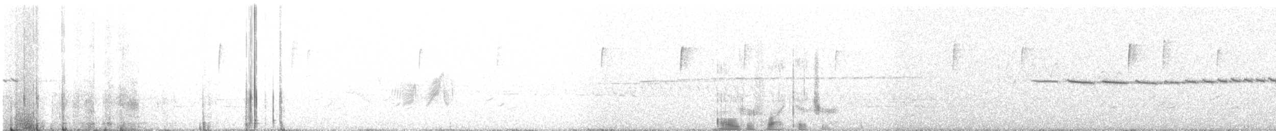 Moucherolle des aulnes - ML240445551