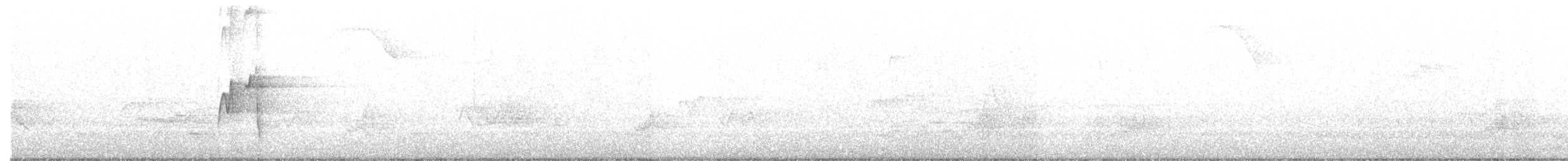 tyranovec zelenavý - ML240461771