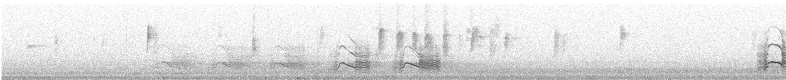 Cacatoès funèbre - ML240469591