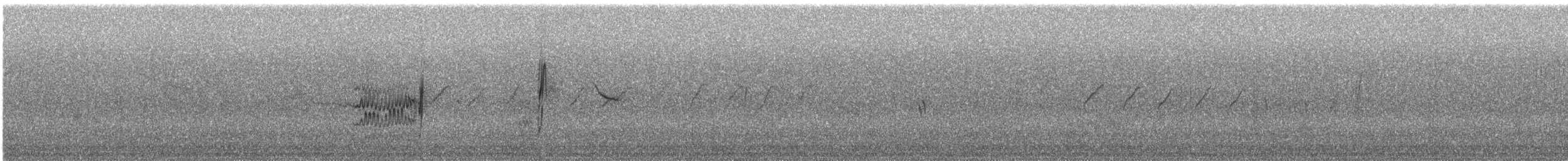 Тиран чорнолобий - ML240475