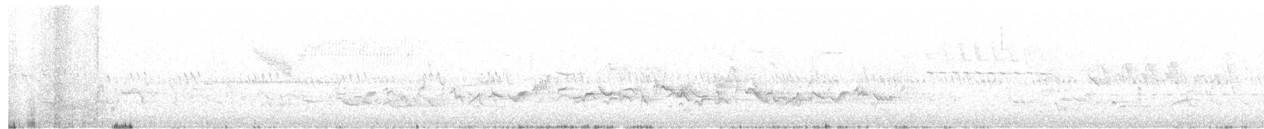 Blue-winged Warbler - ML240477611