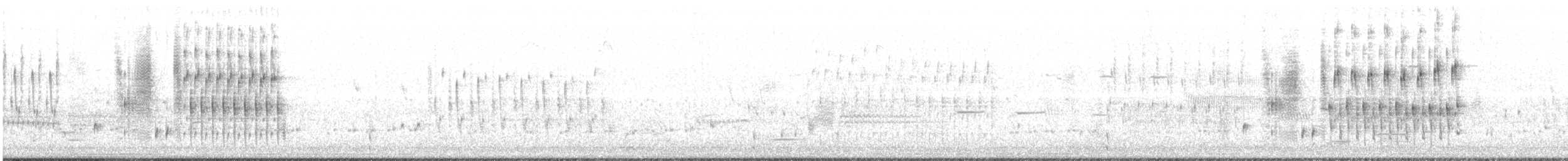 Troglodyte des marais - ML240485561