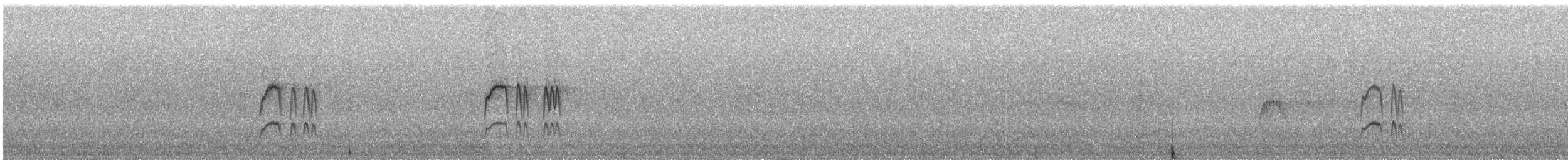 Ласточковый мухолов (ferruginea/sclateri) - ML240497