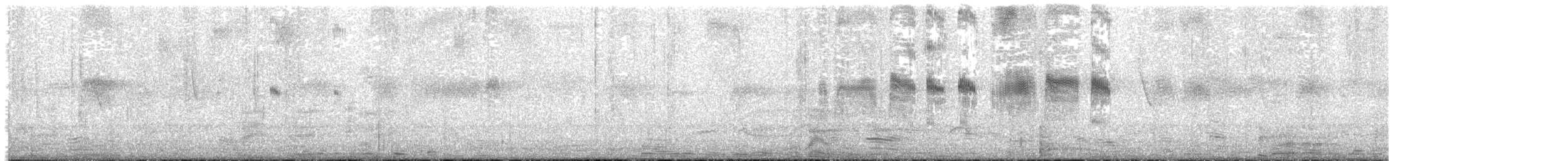 Серпокрилець-крихітка неотропічний - ML240502271