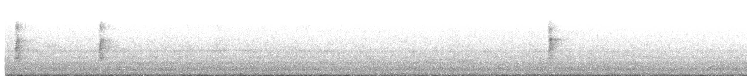 strakapoud velký - ML240520791