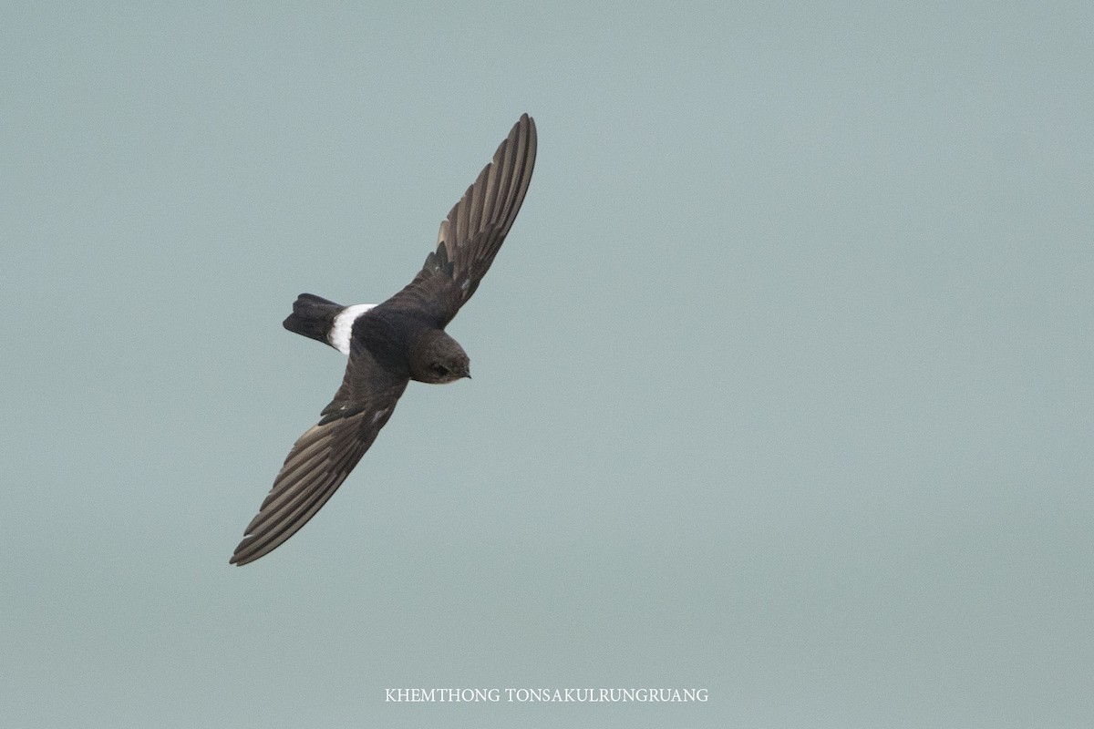 House Swift - Khemthong Tonsakulrungruang