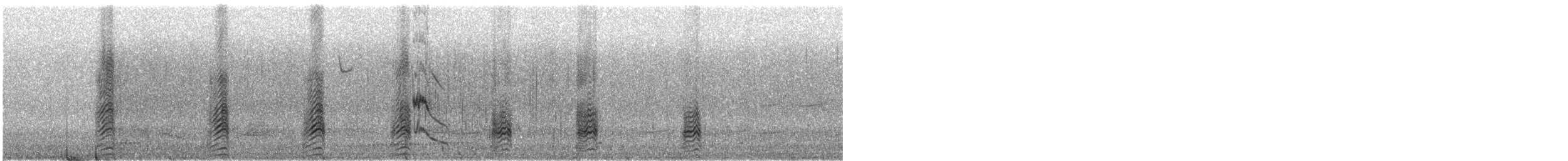 Андский чирок (andium) - ML240533