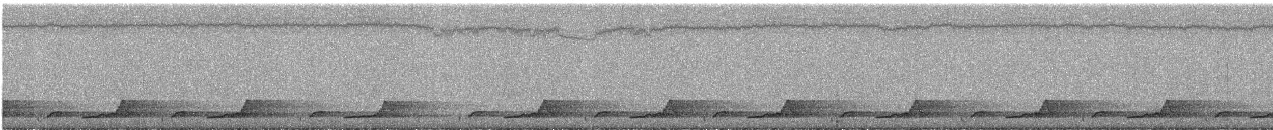 Schwarzkehl-Nachtschwalbe - ML240536431