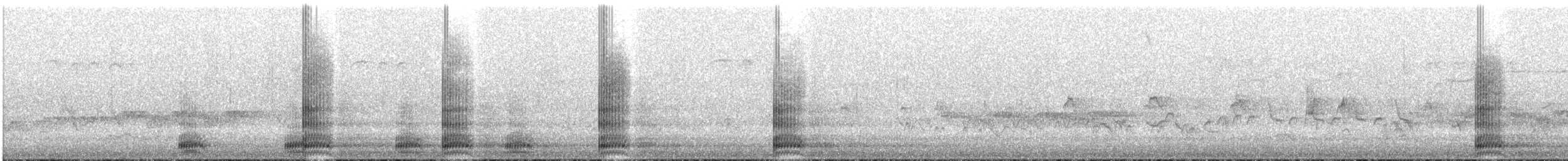 Крук звичайний - ML240538331