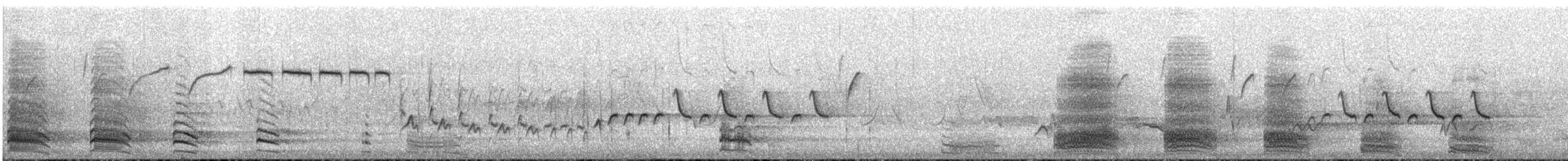 Крук звичайний - ML240539291