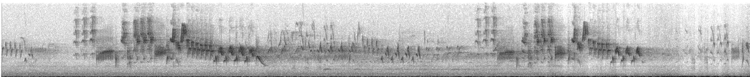 Northern House Wren - ML240541331