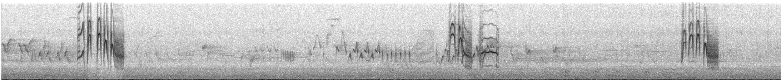 Гаїчка гірська - ML240542201