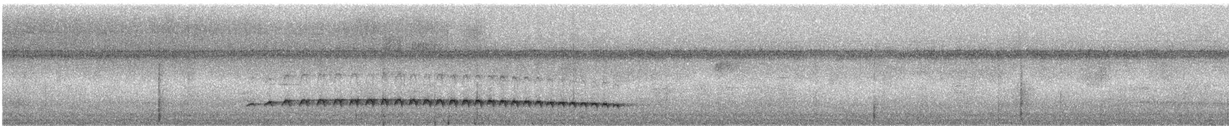 Batarito Coronipunteado - ML240545